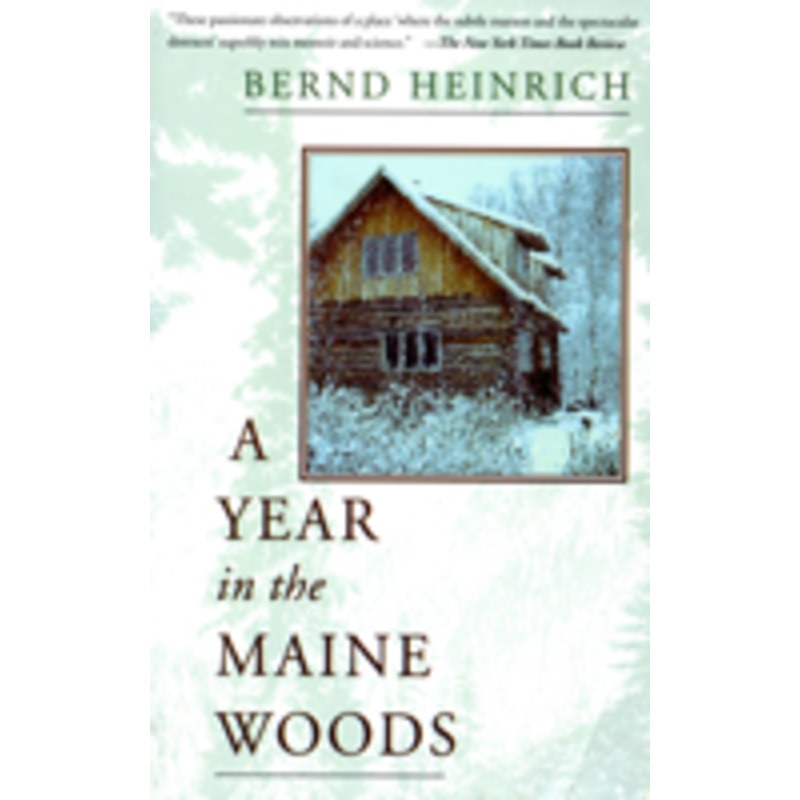 year in the maine woods