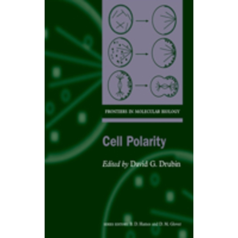 cell polarity