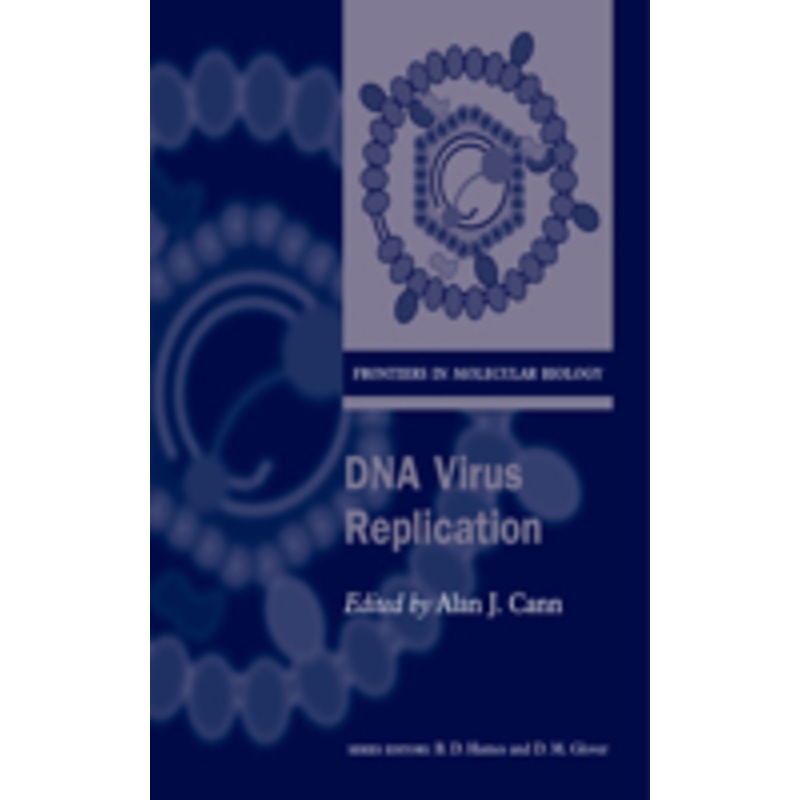 dna virus replication