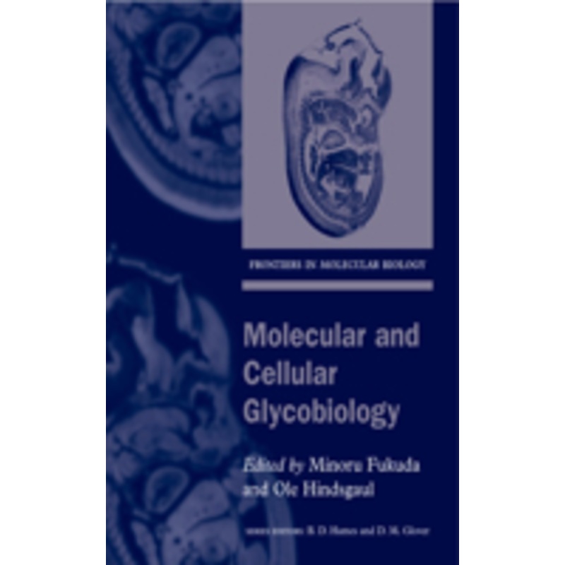 molecular and cellular glycobiology