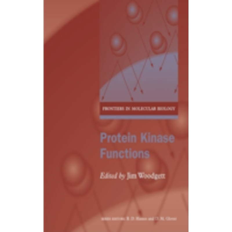 protein kinase functions