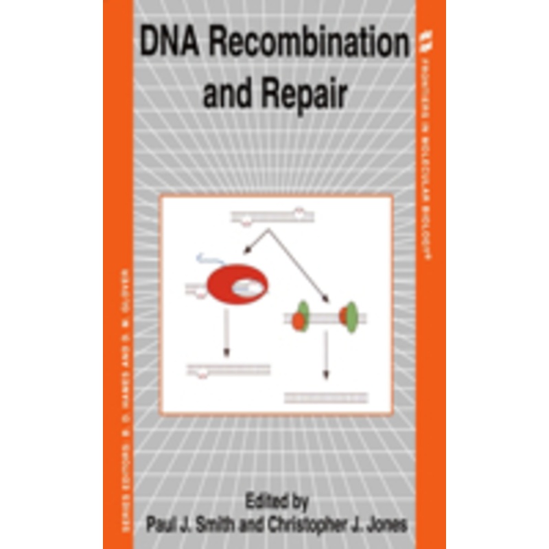 dna recombination and repair