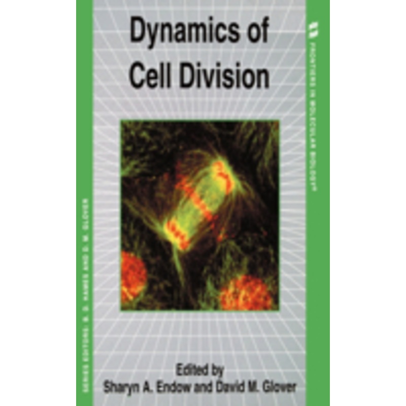 dynamics of cell divison