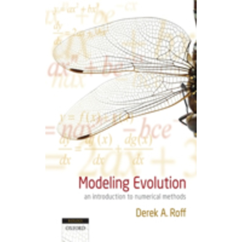 modeling evolution: an introduction to numerical methods