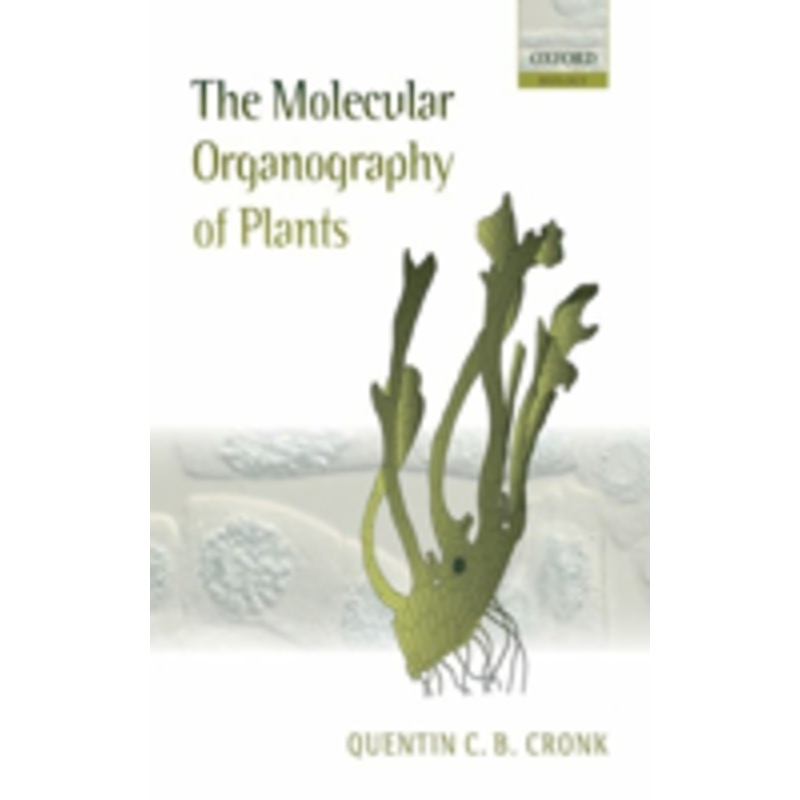 the molecular organography of plants