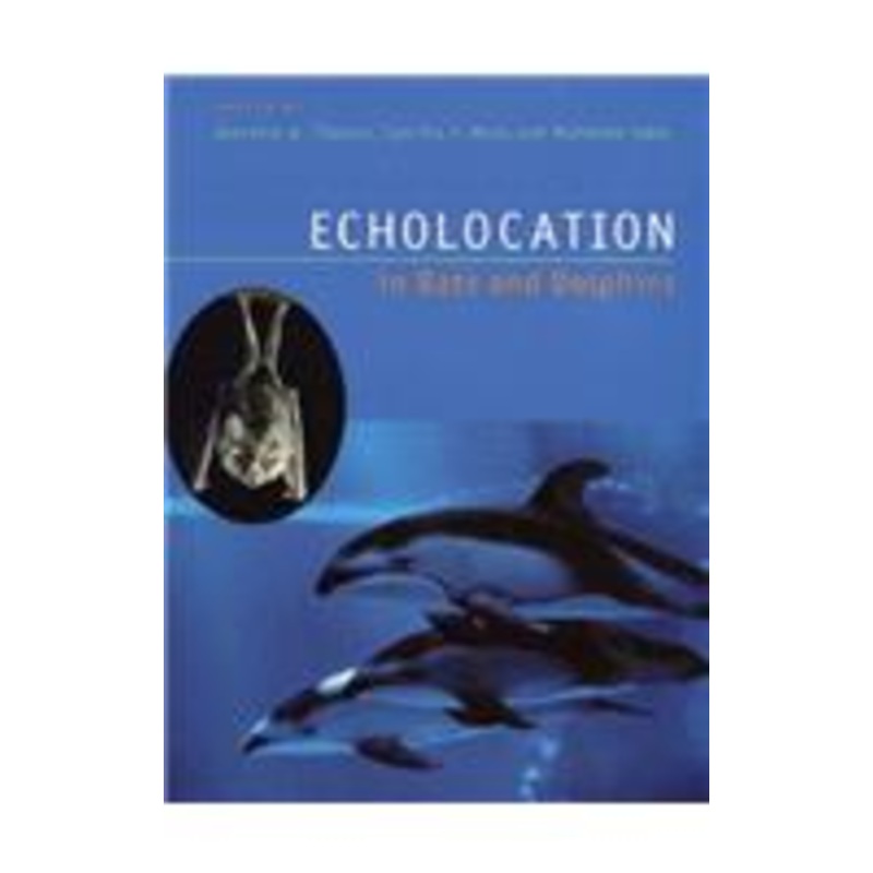 echolocation in bats and dolphins