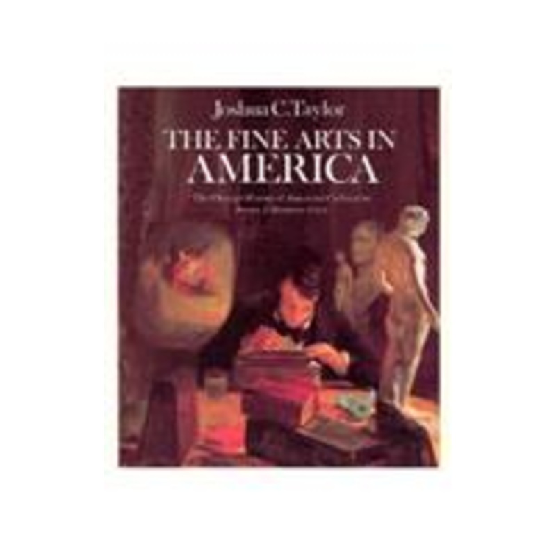 the fine arts in america