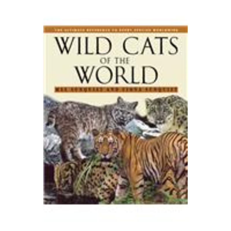 wild cats of the world