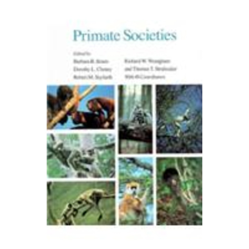 primate societies
