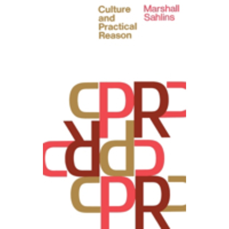 culture and practical reason