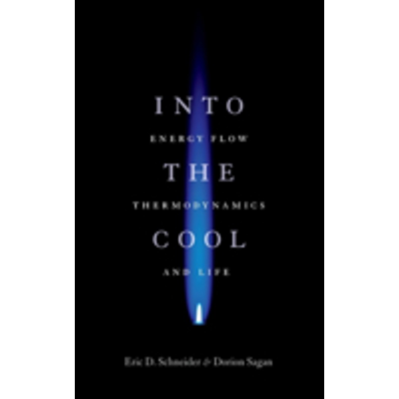 into the cool: energy flow, thermodynamics, and life