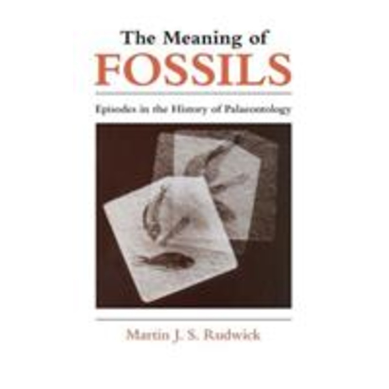 meaning of fossils: episodes in the history of palaeontology
