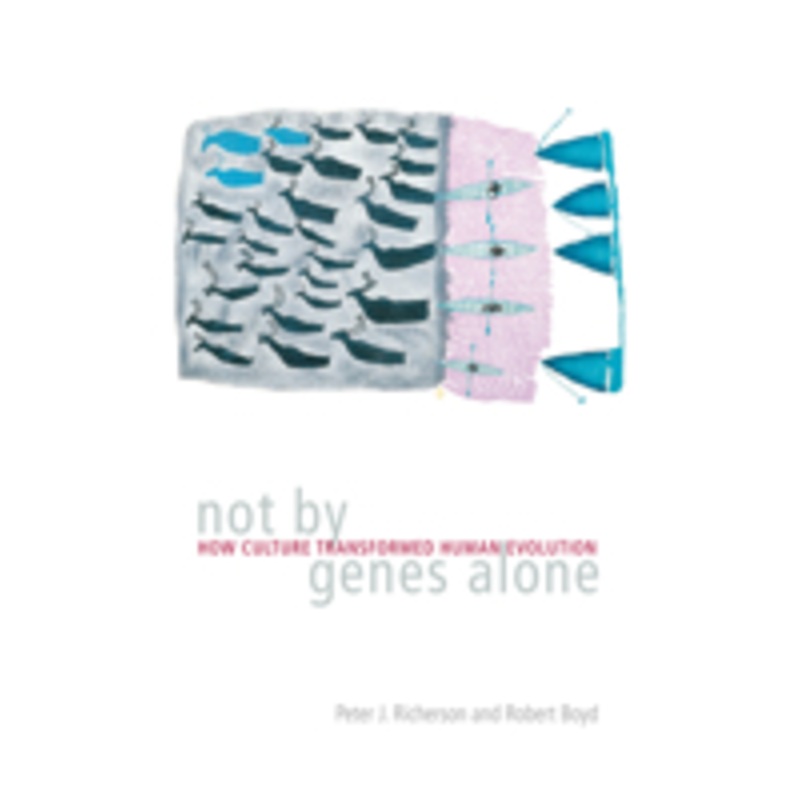not by genes alone: how culture transformed human evolution