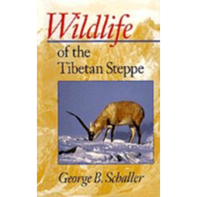 wildlife of the tibetan steppe