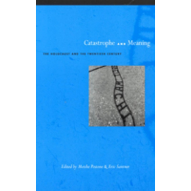 catastrophe and meaning: the holocaust and the twentieth century