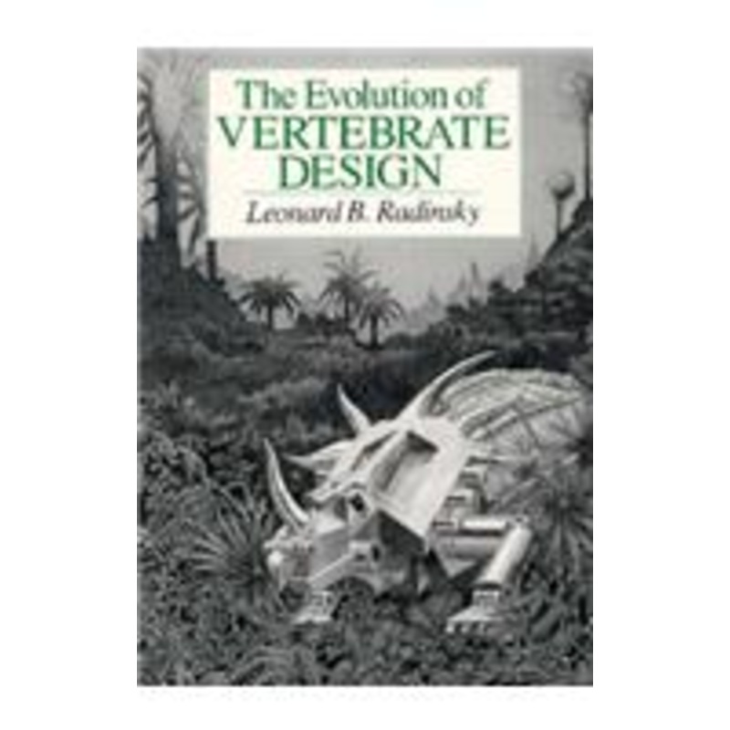 evolution of vertebrate design