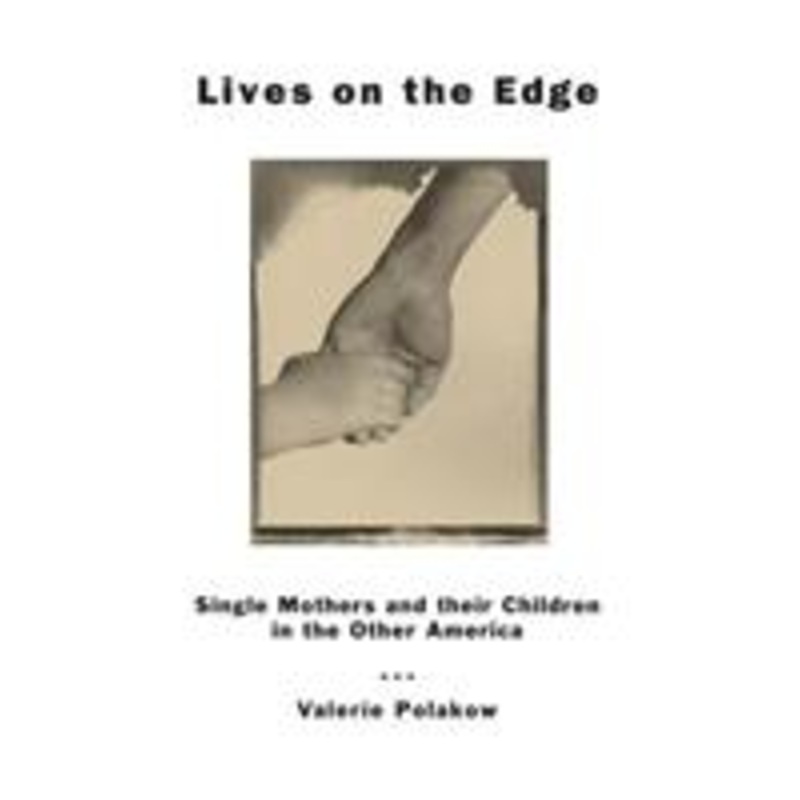 lives on the edge: single mothers and their children in the other america