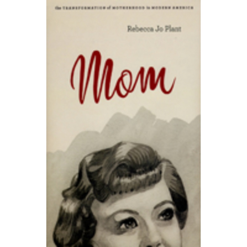 mom: the transformation of motherhood in modern america