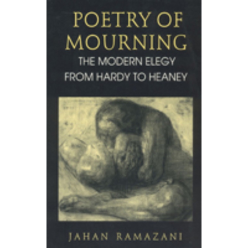 poetry of mourning  the modern elegy from hardy to heaney: the modern elegy from hardy to heaney