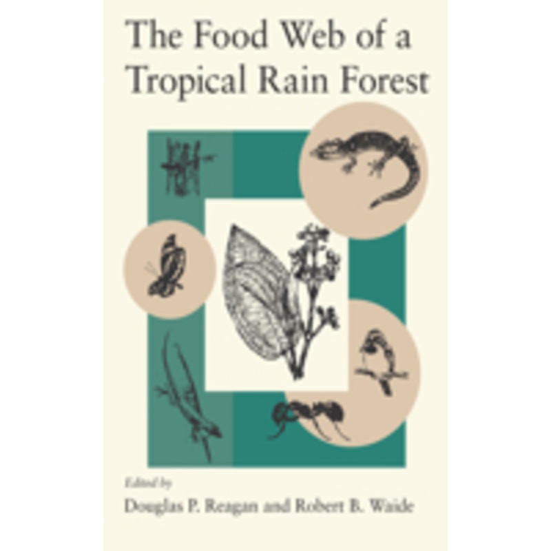 the food web of a tropical rain forest