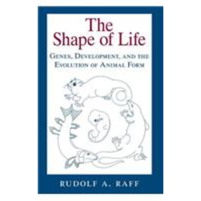 the shape of life: genes, development, and the evolution of animal form