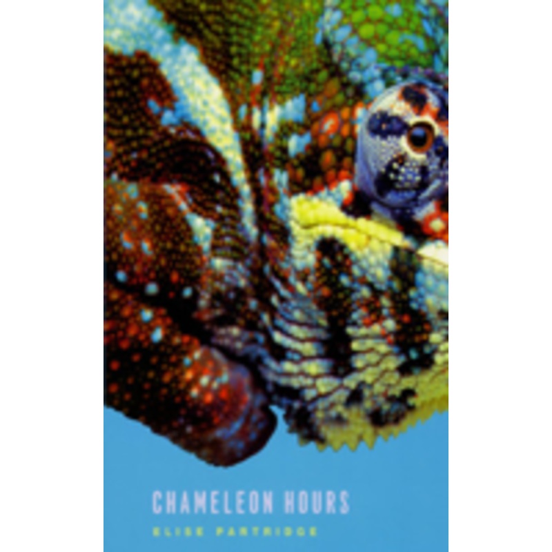 chameleon hours