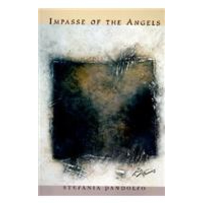 impasse of the angels: scenes from a moroccan space of memory