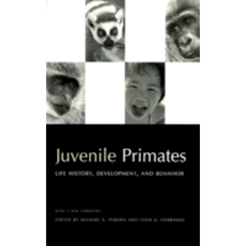 juvenile primates: life history, development, and behavior