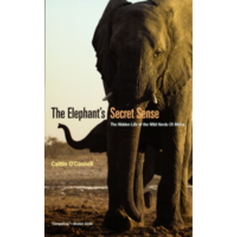 the elephant`s secret sense  the hidden life of the wild herds of africa: the hidden life of the wild herds of africa