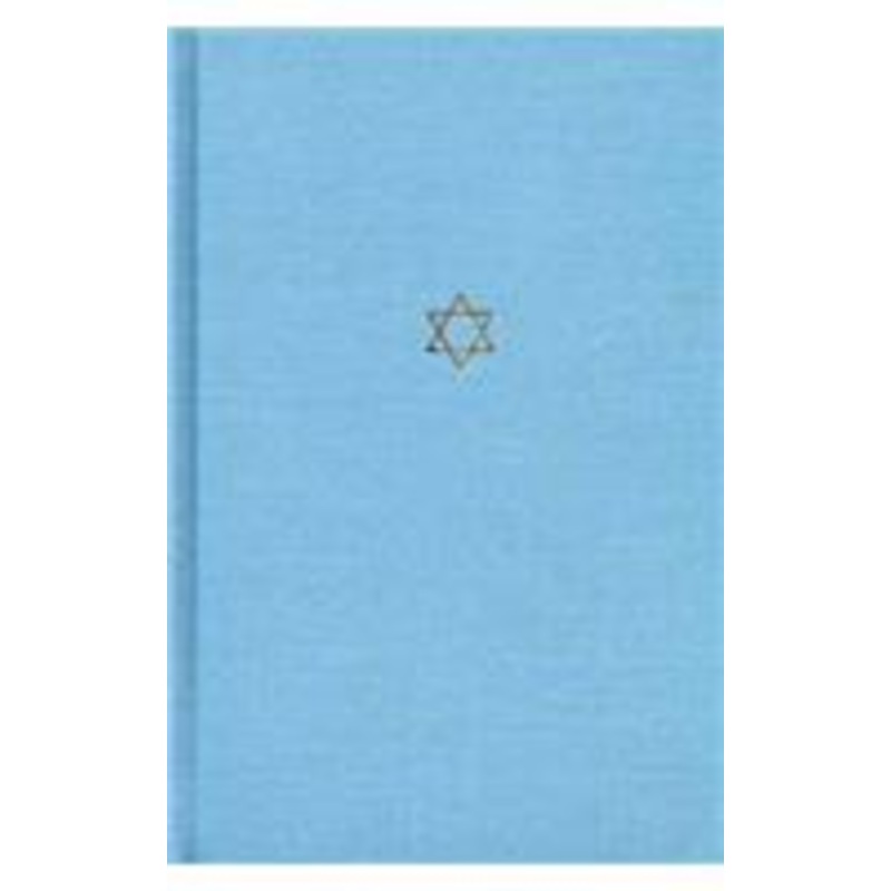 the talmud of the land of israel: baba mesia