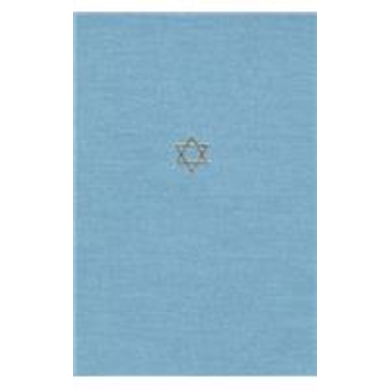 the talmud of the land of israel: sanhedrin and makkot v. 31: sanhedrin and makkot