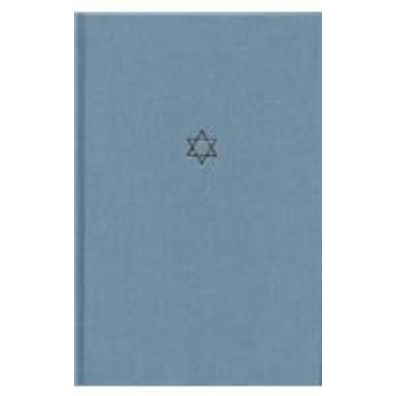 the talmud of the land of israel: sukkah volume 17