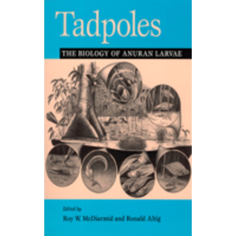 tadpoles: the biology of anuran larvae