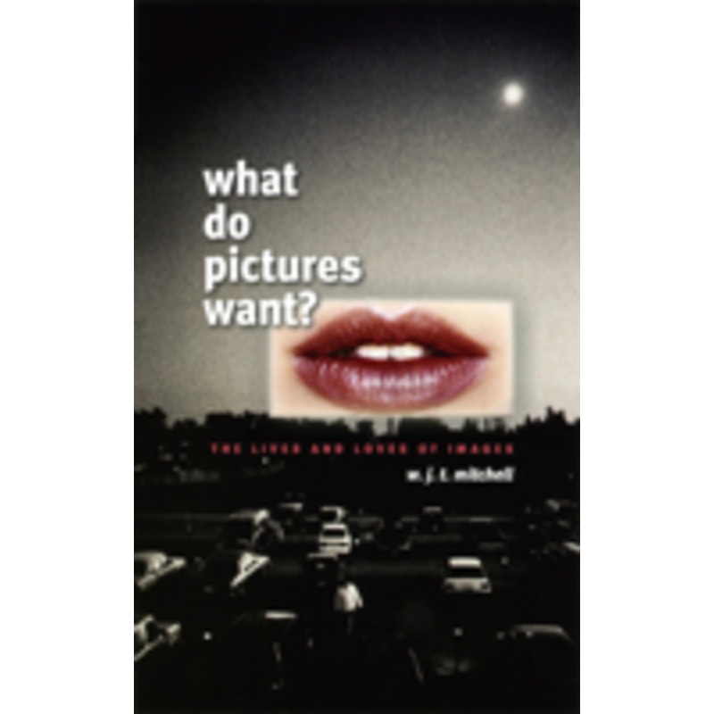 what do pictures want?: the lives and loves of images