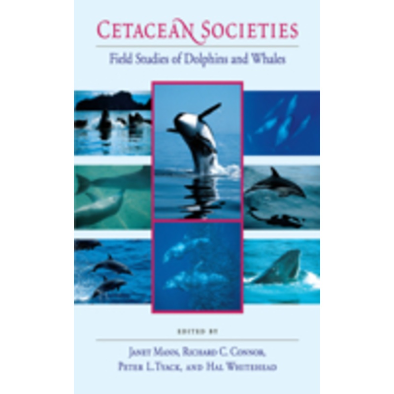 cetacean societies: field studies of dolphins and whales