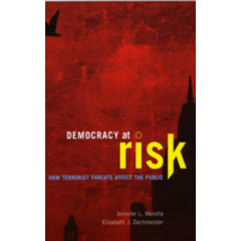 democracy at risk: how terrorist threats affect the public