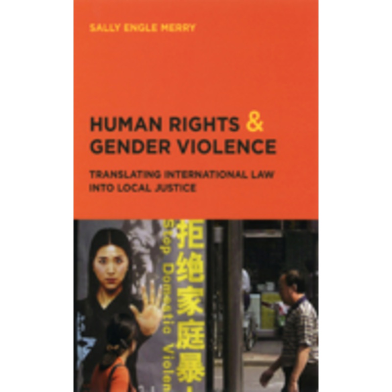 human rights and gender violence: translating international law into local justice