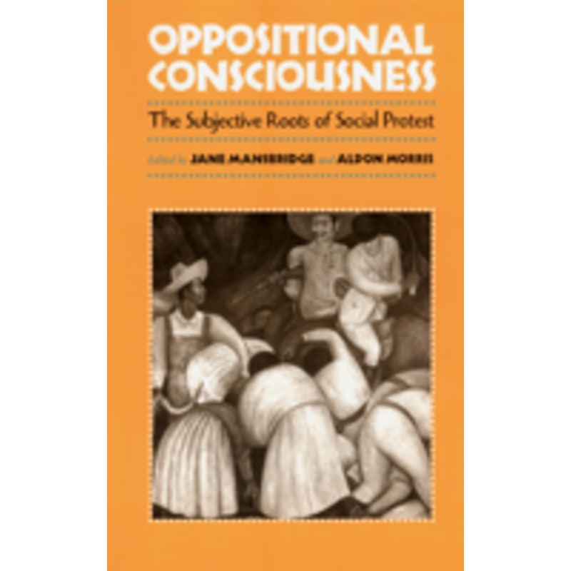 oppositional consciousness: the subjective roots of social protest