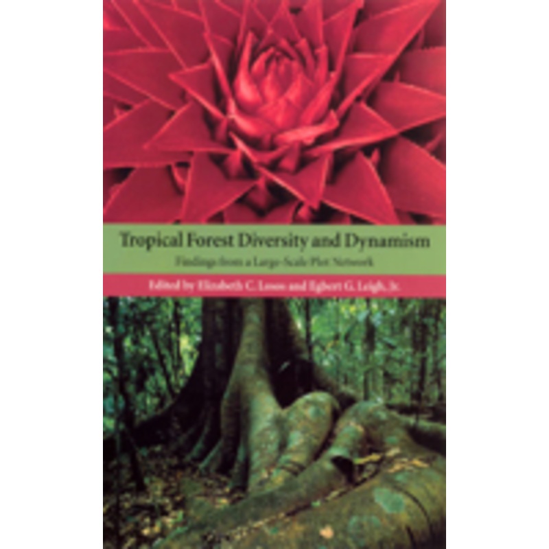 tropical forest diversity and dynamism: findings from a large-scale plot network