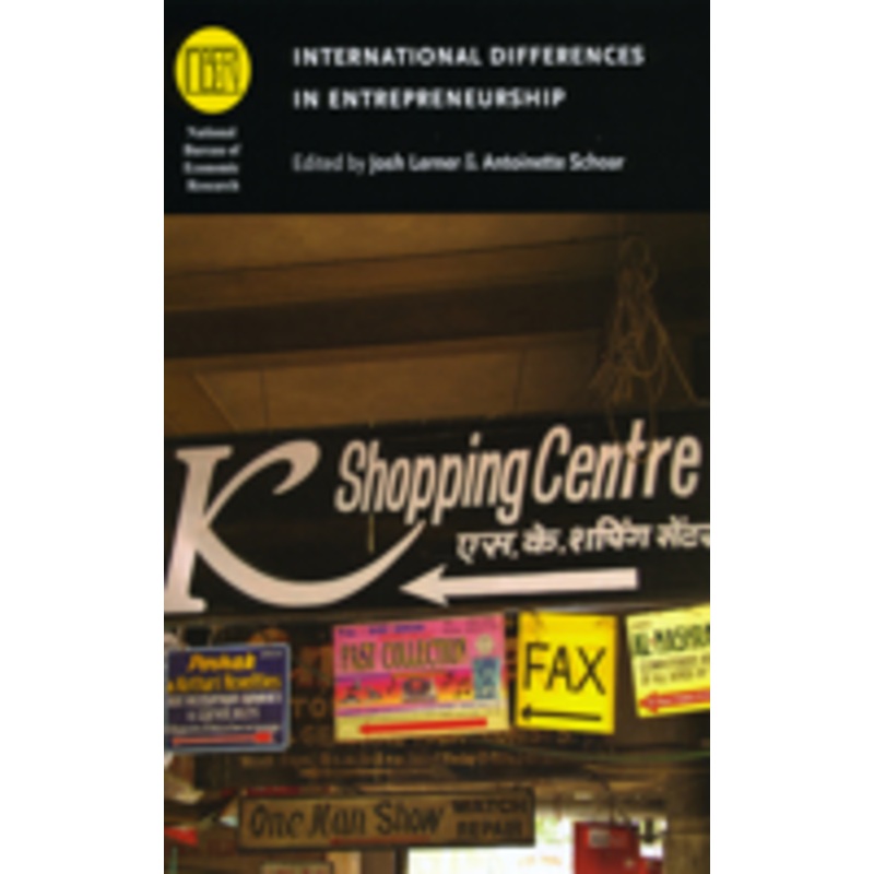 international differences in entrepreneurship