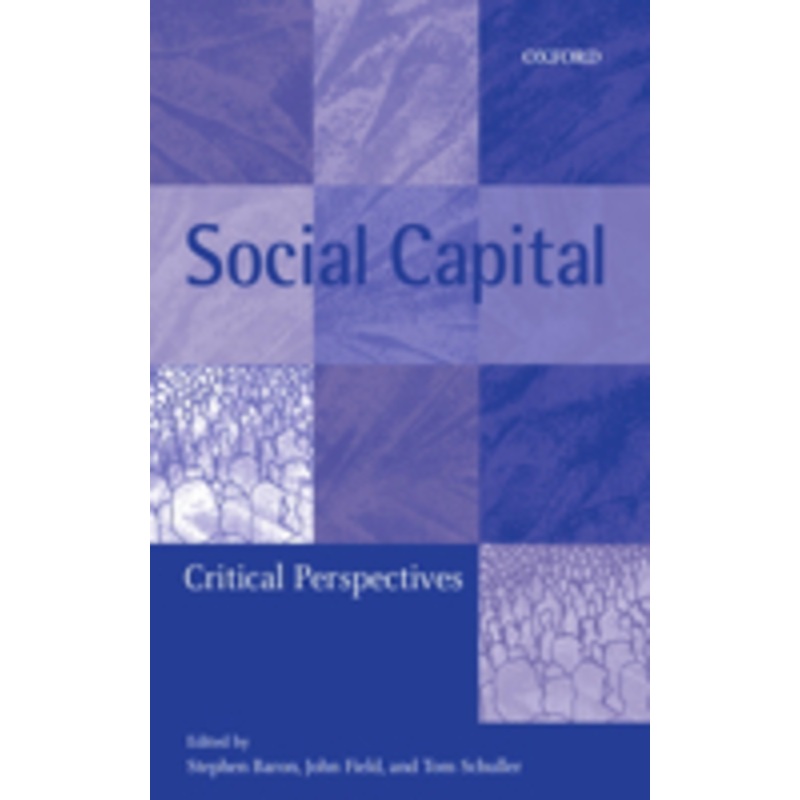 social capital: critical perspectives