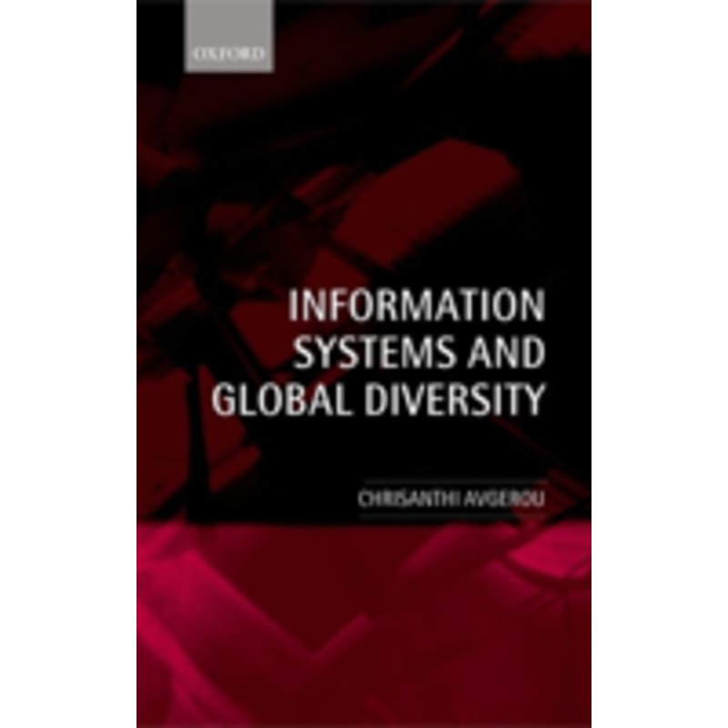 information systems and global diversity