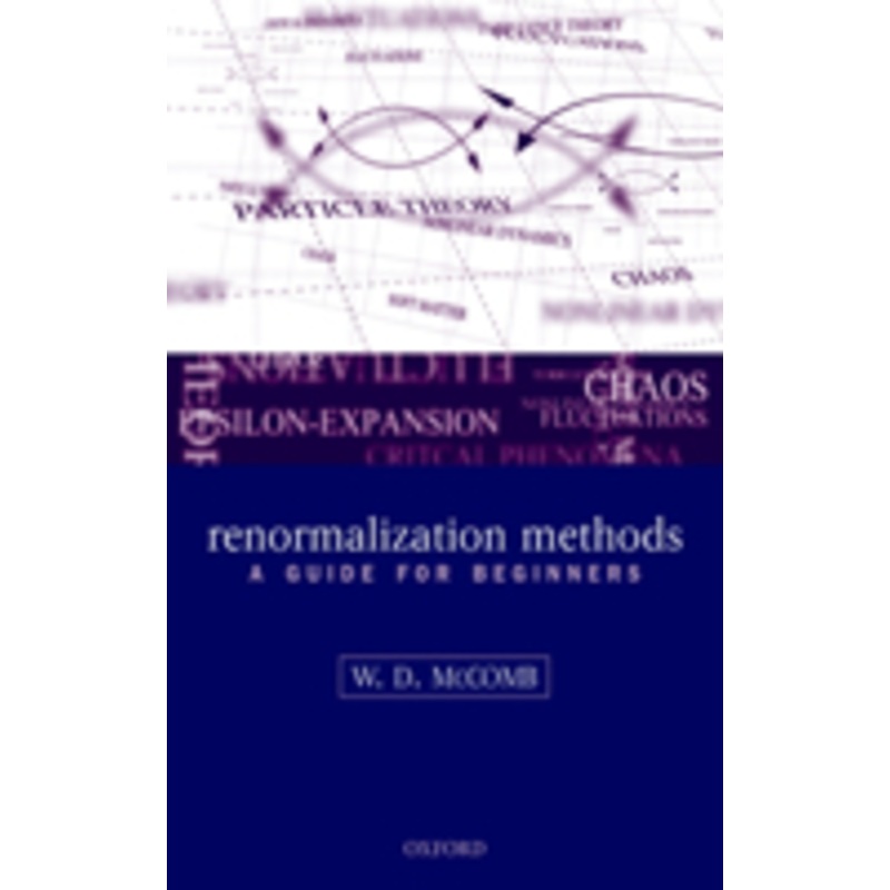 renormalization methods: a guide for beginners