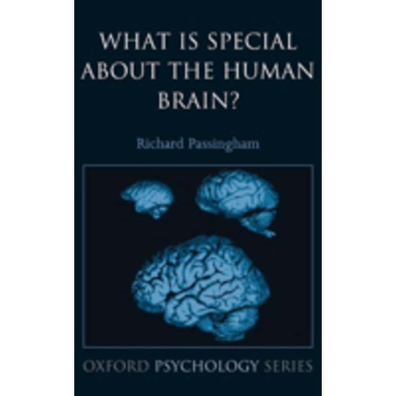 what is special about the human brain?