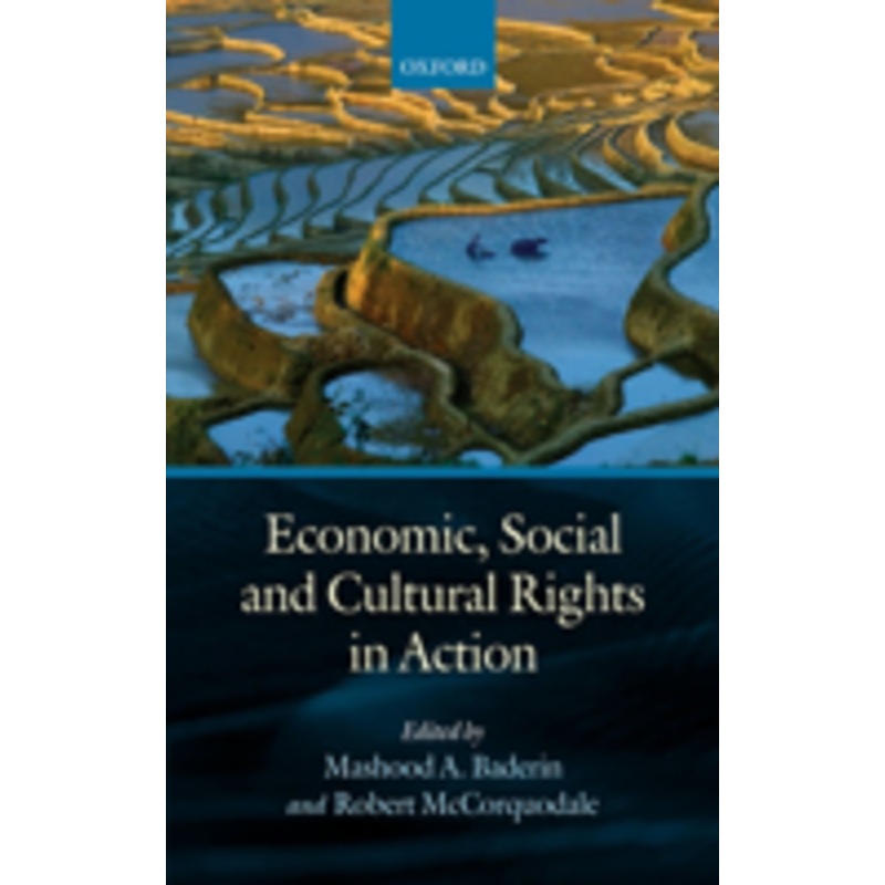 economic, social and cultural rights in action