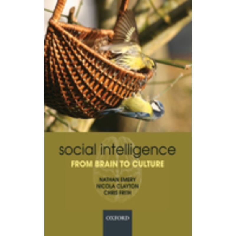 social intelligence from brain to culture