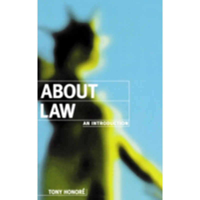 about law: an introduction: a introduction