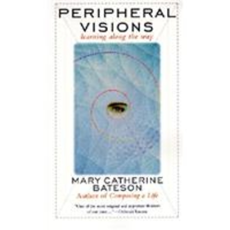 peripheral visions: learning along the way