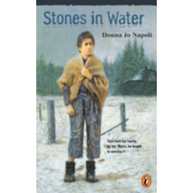stones in water