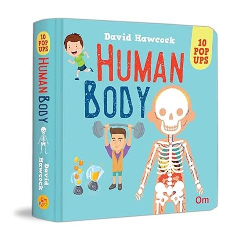 10 Pop ups Human Body